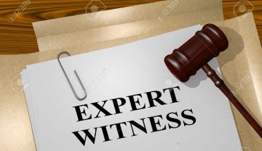 EXPERT WITNESS